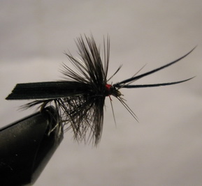 ���� ����� Dry fly  